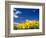 Sunflowers, Colorado, USA-Terry Eggers-Framed Photographic Print