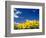 Sunflowers, Colorado, USA-Terry Eggers-Framed Photographic Print