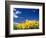 Sunflowers, Colorado, USA-Terry Eggers-Framed Photographic Print