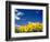 Sunflowers, Colorado, USA-Terry Eggers-Framed Photographic Print