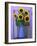 Sunflowers Displayed in Enamelware Pitcher, Willamette Valley, Oregon, USA-Steve Terrill-Framed Photographic Print