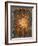 Sunflowers, England, Late 19th Century-William Morris-Framed Giclee Print