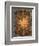 Sunflowers, England, Late 19th Century-William Morris-Framed Giclee Print