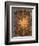 Sunflowers, England, Late 19th Century-William Morris-Framed Giclee Print