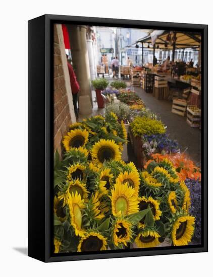 Sunflowers for Sale in Rialto Market, Venice, Veneto, Italy, Europe-Martin Child-Framed Premier Image Canvas