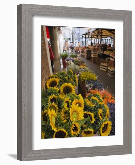 Sunflowers for Sale in Rialto Market, Venice, Veneto, Italy, Europe-Martin Child-Framed Photographic Print