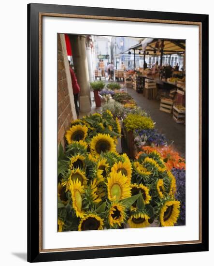 Sunflowers for Sale in Rialto Market, Venice, Veneto, Italy, Europe-Martin Child-Framed Photographic Print