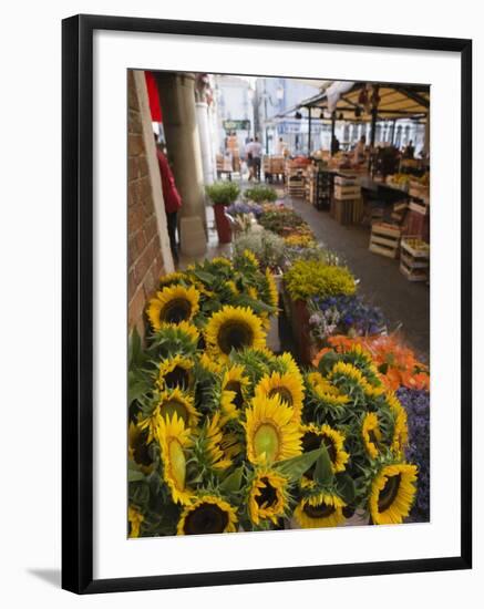 Sunflowers for Sale in Rialto Market, Venice, Veneto, Italy, Europe-Martin Child-Framed Photographic Print