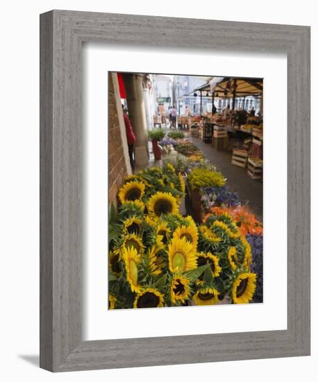 Sunflowers for Sale in Rialto Market, Venice, Veneto, Italy, Europe-Martin Child-Framed Photographic Print