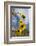 Sunflowers Holladay, Utah-Howie Garber-Framed Photographic Print