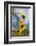 Sunflowers Holladay, Utah-Howie Garber-Framed Photographic Print