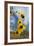 Sunflowers Holladay, Utah-Howie Garber-Framed Photographic Print