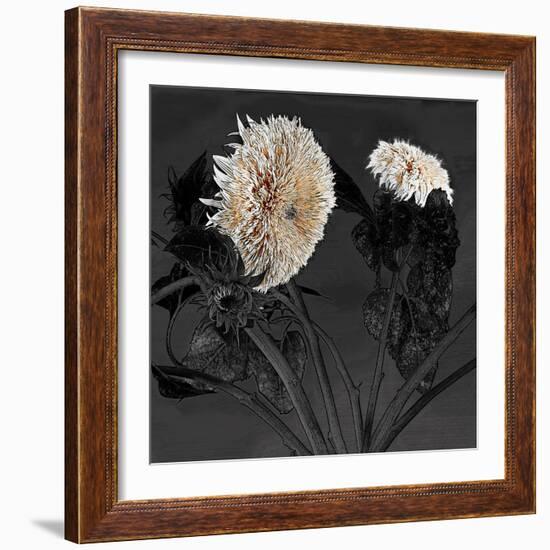 Sunflowers I-Shelley Lake-Framed Photographic Print