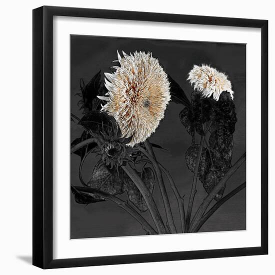 Sunflowers I-Shelley Lake-Framed Photographic Print