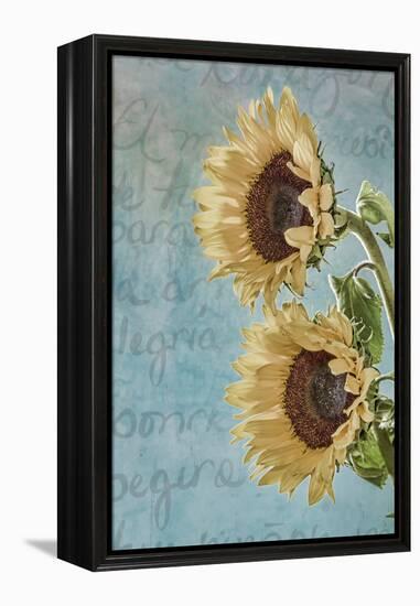 Sunflowers II-Kathy Mahan-Framed Premier Image Canvas