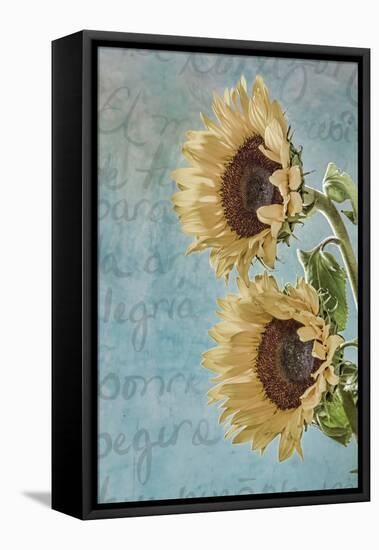 Sunflowers II-Kathy Mahan-Framed Premier Image Canvas