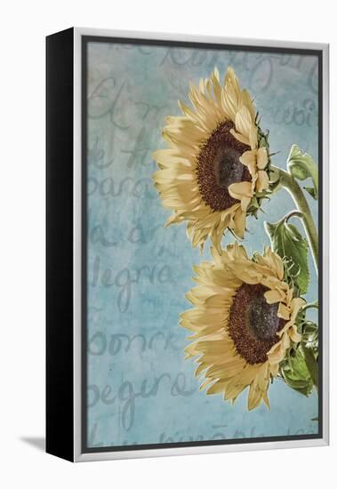 Sunflowers II-Kathy Mahan-Framed Premier Image Canvas