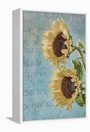 Sunflowers II-Kathy Mahan-Framed Premier Image Canvas