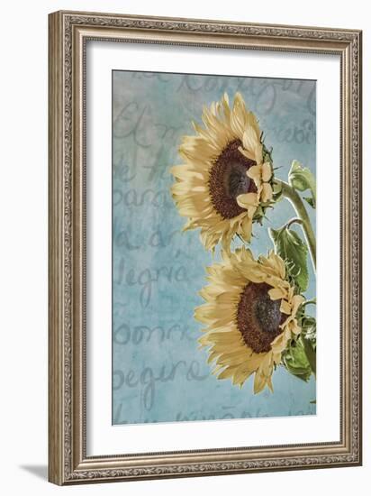 Sunflowers II-Kathy Mahan-Framed Photographic Print