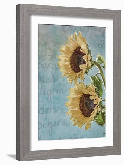 Sunflowers II-Kathy Mahan-Framed Photographic Print