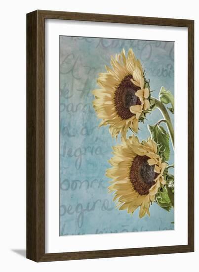 Sunflowers II-Kathy Mahan-Framed Photographic Print