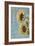 Sunflowers II-Kathy Mahan-Framed Photographic Print