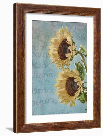 Sunflowers II-Kathy Mahan-Framed Photographic Print