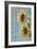 Sunflowers II-Kathy Mahan-Framed Photographic Print