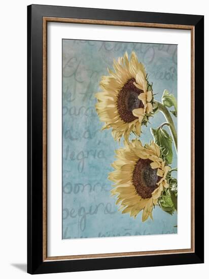 Sunflowers II-Kathy Mahan-Framed Photographic Print