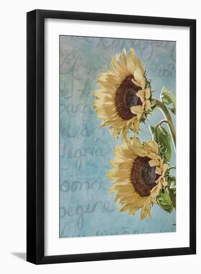 Sunflowers II-Kathy Mahan-Framed Photographic Print