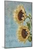 Sunflowers II-Kathy Mahan-Mounted Photographic Print