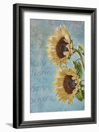 Sunflowers II-Kathy Mahan-Framed Photographic Print