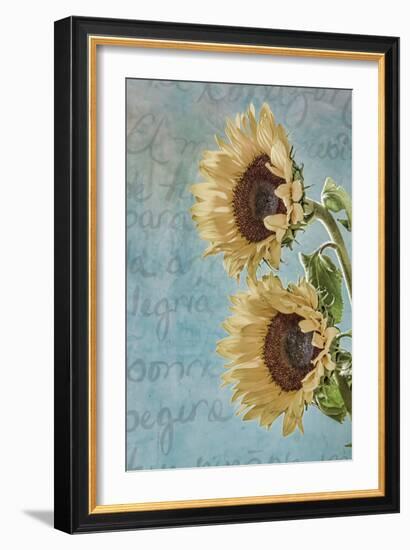 Sunflowers II-Kathy Mahan-Framed Photographic Print