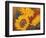 Sunflowers II-Vivien Rhyan-Framed Art Print