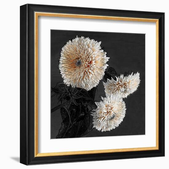 Sunflowers II-Shelley Lake-Framed Art Print