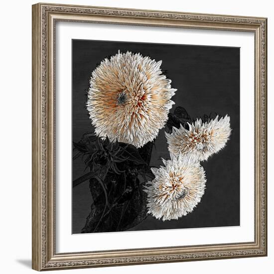 Sunflowers II-Shelley Lake-Framed Art Print