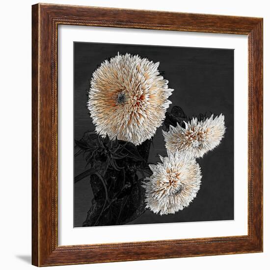 Sunflowers II-Shelley Lake-Framed Art Print