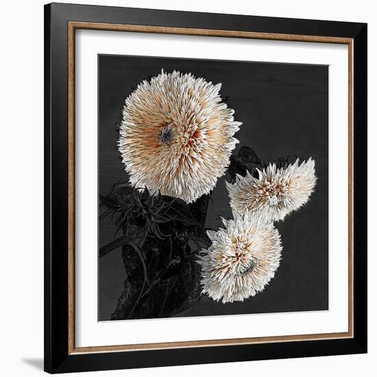 Sunflowers II-Shelley Lake-Framed Art Print