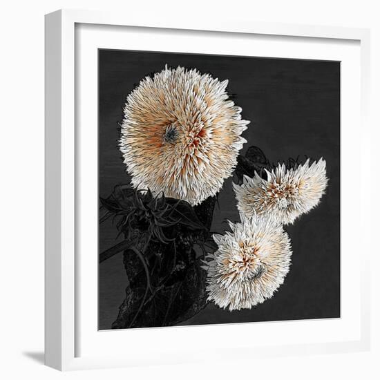 Sunflowers II-Shelley Lake-Framed Art Print