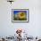 Sunflowers, Illinois, USA-Lynn M. Stone-Framed Photographic Print displayed on a wall