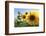 Sunflowers in Full Bloom During August in a Field Near Perugia, Umbria, Italy-William Gray-Framed Photographic Print