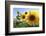 Sunflowers in Full Bloom During August in a Field Near Perugia, Umbria, Italy-William Gray-Framed Photographic Print