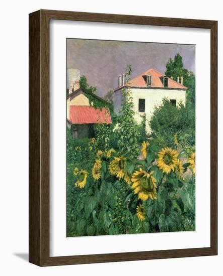 Sunflowers in the Garden at Petit Gennevilliers-Gustave Caillebotte-Framed Giclee Print