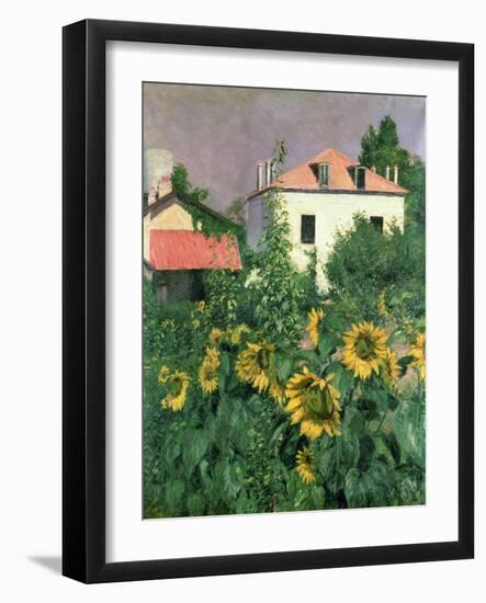 Sunflowers in the Garden at Petit Gennevilliers-Gustave Caillebotte-Framed Giclee Print