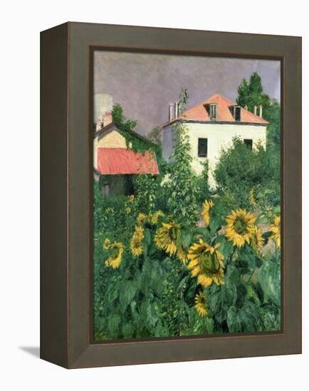 Sunflowers in the Garden at Petit Gennevilliers-Gustave Caillebotte-Framed Premier Image Canvas