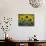 Sunflowers in the Summer; Tuscany, Italy, Europe-Carlos Sanchez Pereyra-Photographic Print displayed on a wall