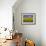 Sunflowers in Tuscany, Italy, Europe-Angelo Cavalli-Framed Photographic Print displayed on a wall