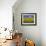 Sunflowers in Tuscany, Italy, Europe-Angelo Cavalli-Framed Photographic Print displayed on a wall
