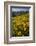 Sunflowers Meadow, Little Cottonwood Canyon, Albion Basin, Utah, USA-Charles Gurche-Framed Photographic Print