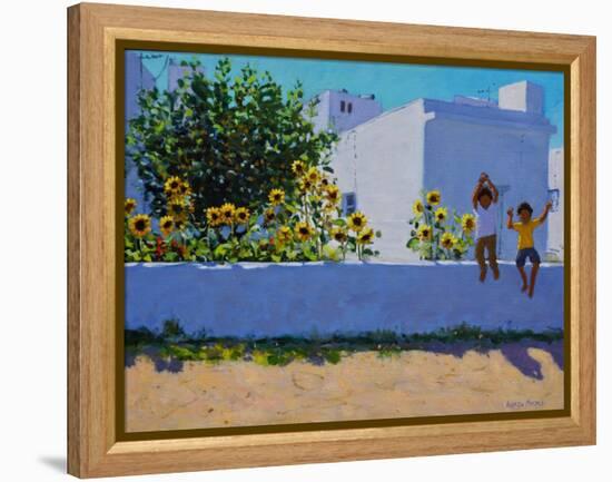 Sunflowers,morning,Galicia,-Andrew Macara-Framed Premier Image Canvas